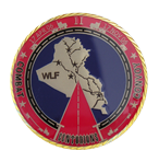 Air Force Challenge Coins